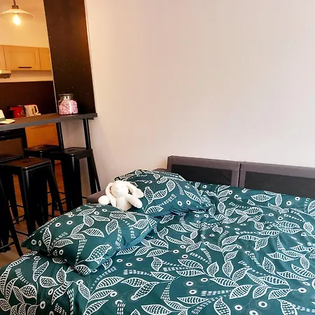T3 Meublé 6 Couchages Appartement