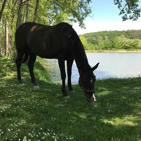 T3 Meuble 6 Couchages דירה