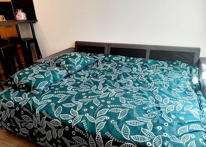 T3 Meuble 6 Couchages 모네인