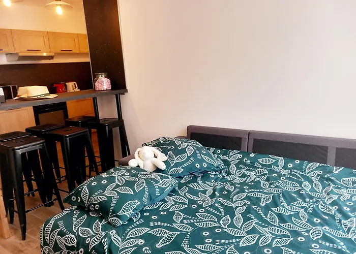 T3 Meuble 6 Couchages 아파트