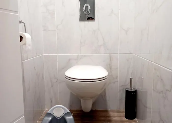 T3 Meuble 6 Couchages Apartamento Monein