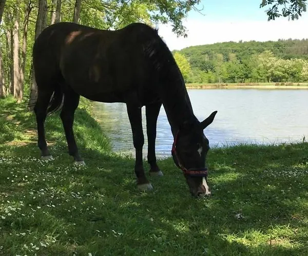 T3 Meuble 6 Couchages 아파트